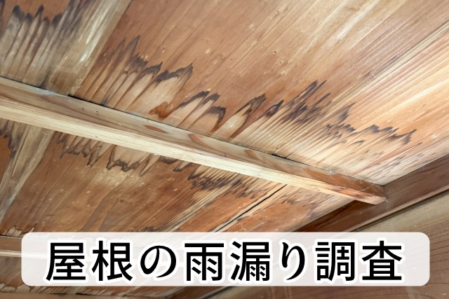 屋根の雨漏り調査