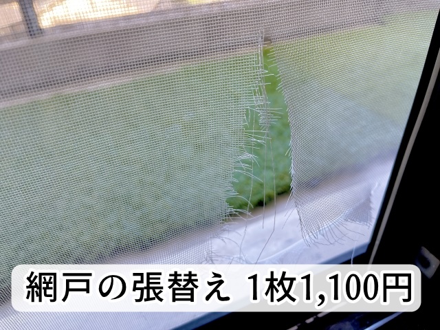網戸の張替え作業